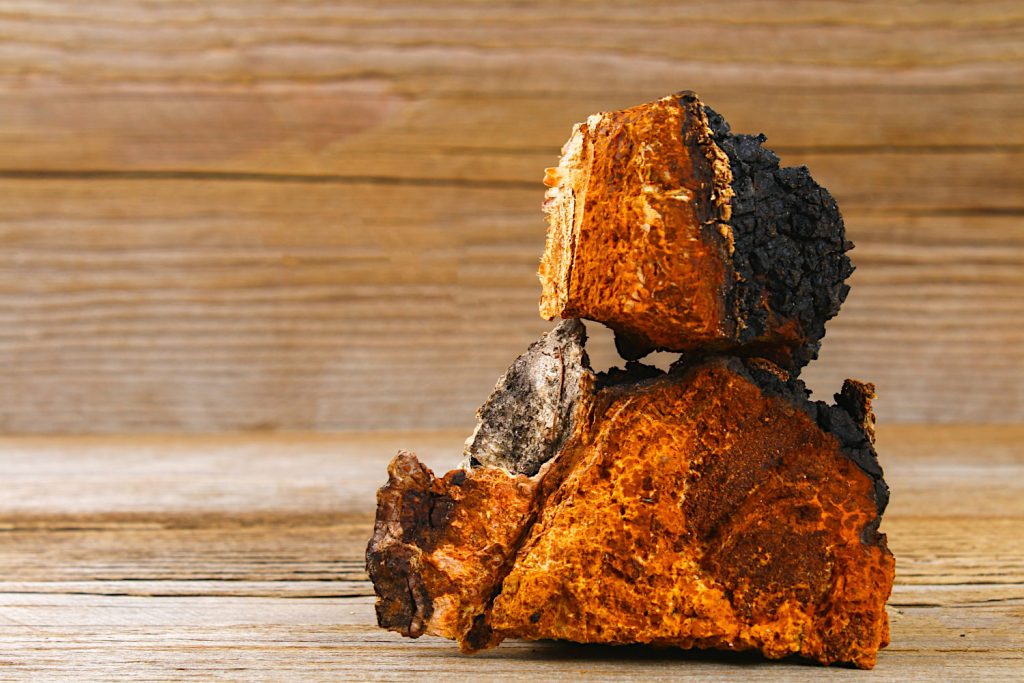 Chaga