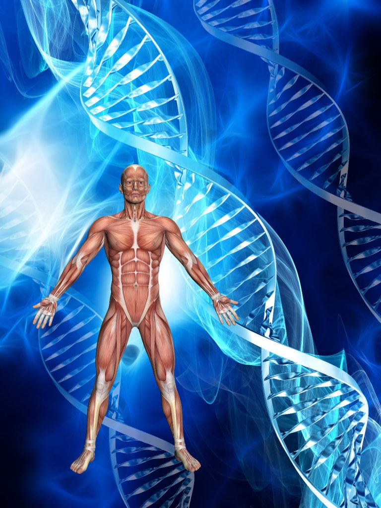 dna